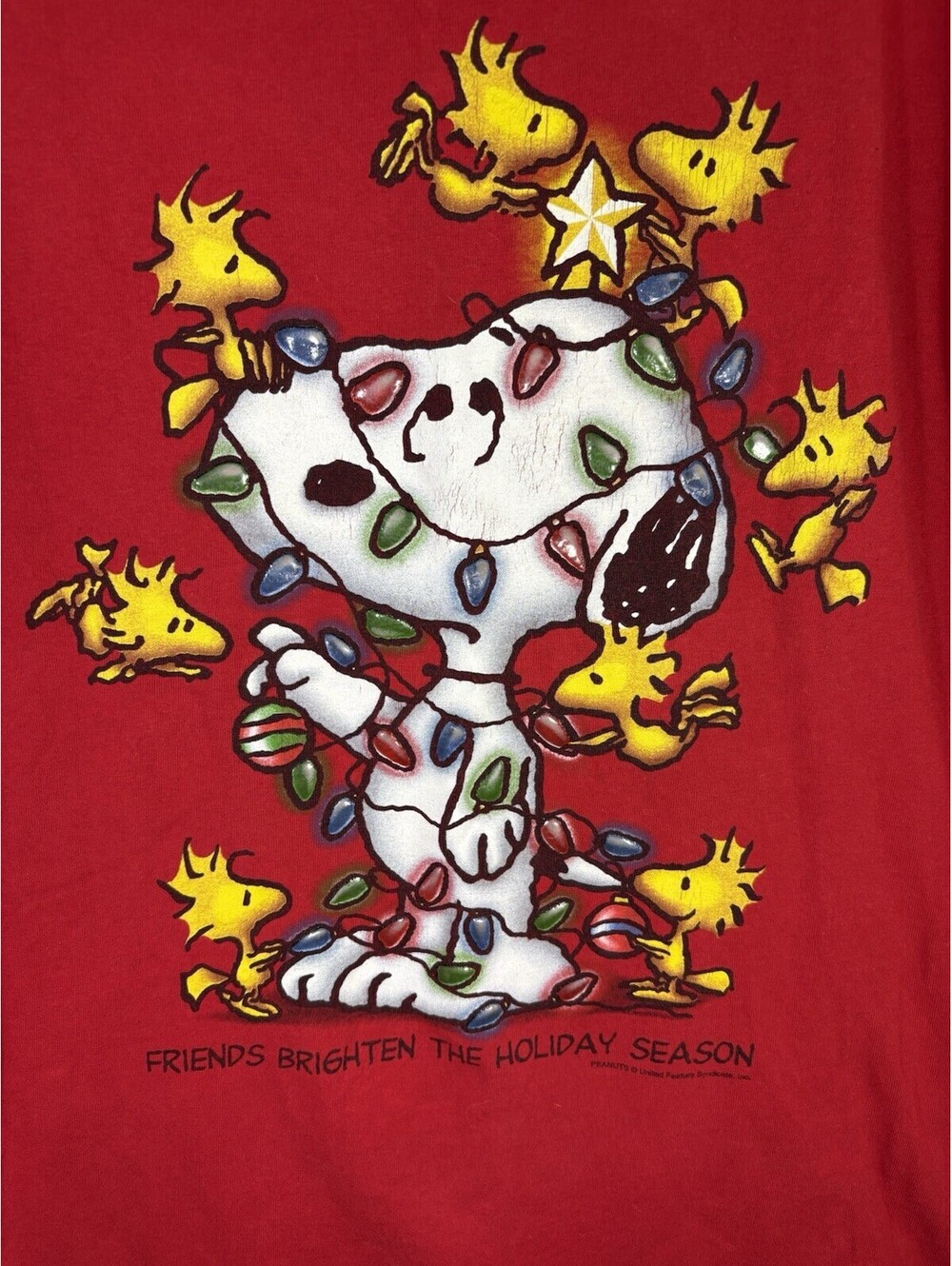 Vintage AAA Y2K Peanuts Snoopy Woodstock Christmas T Shirt M Holiday Lights - Picture 9 of 9